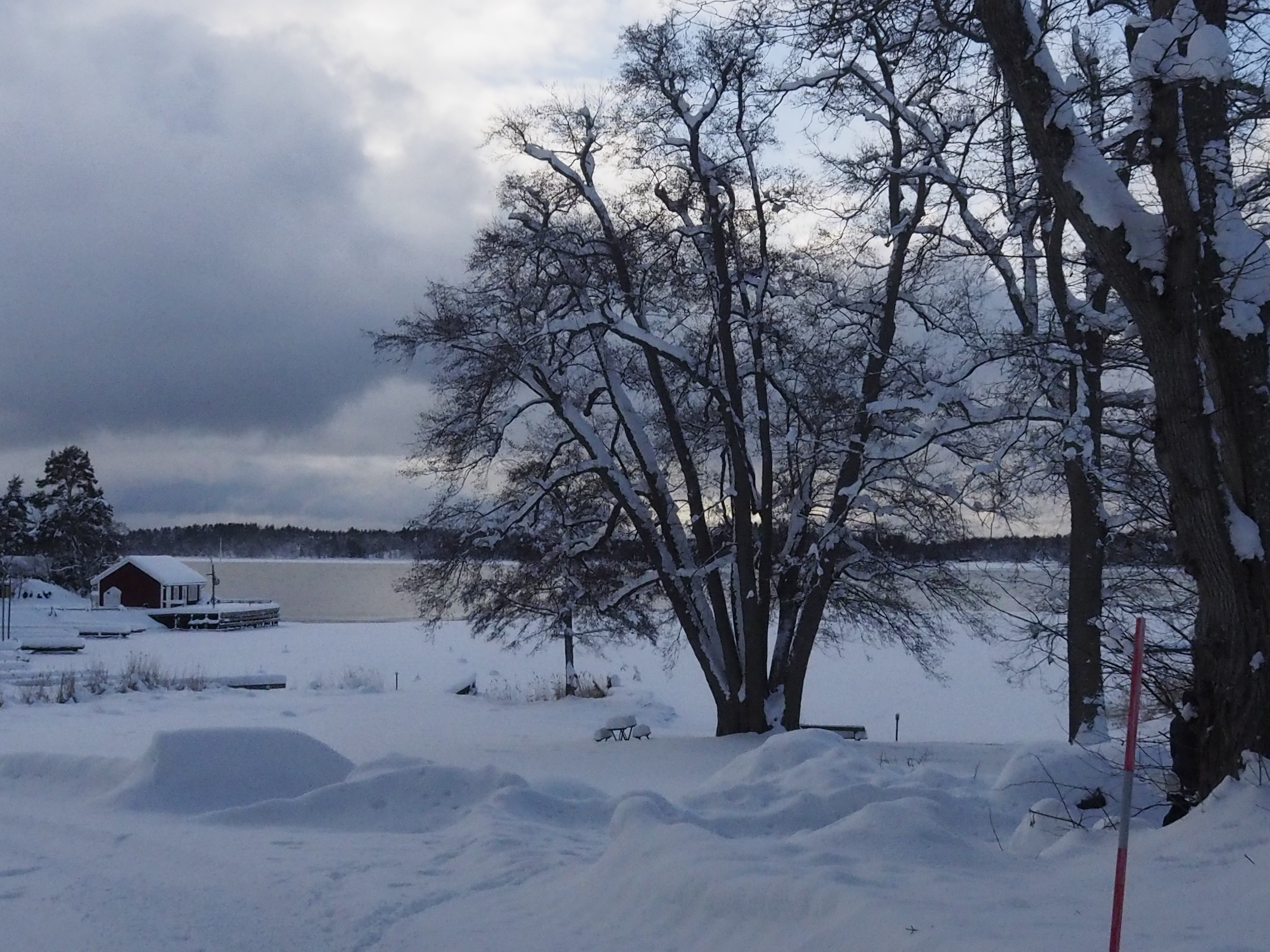 Barnbadet i vinterskrud